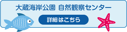 大蔵海岸公園 自然観察センター